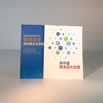 Custom Product Manuals with 300g Ice White Pearlescent Paper