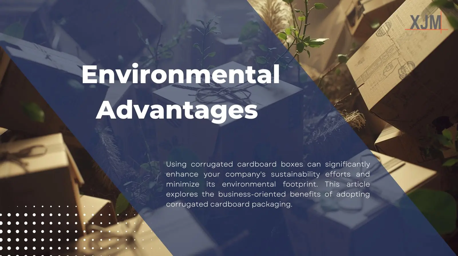 Are cardboard boxes eco-friendly