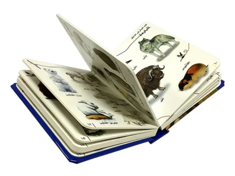 Custom Sample Book for Packaging Printing (3)